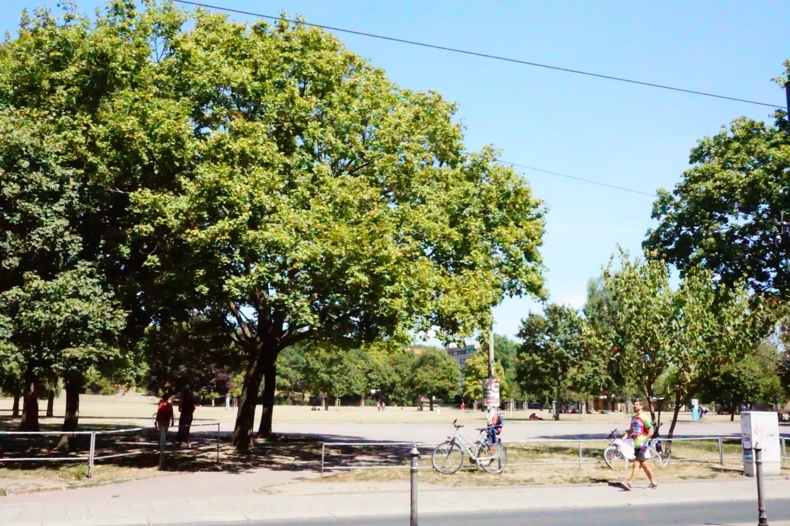 Zweizimmerwohnung mit Blick auf den Alaunpark